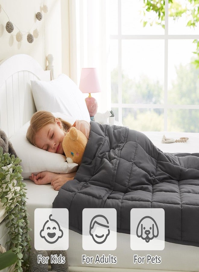 L'AGRATY بطانية L'AGRATY الثقيلة - 36 بوصة × 48 بوصة، 3 أرطال، مصنوعة من ألياف دقيقة مع خرز زجاجي، بطانية صغيرة لجميع الفصول: الصيف، الخريف، الشتاء، ناعمة وسميكة - Image 5